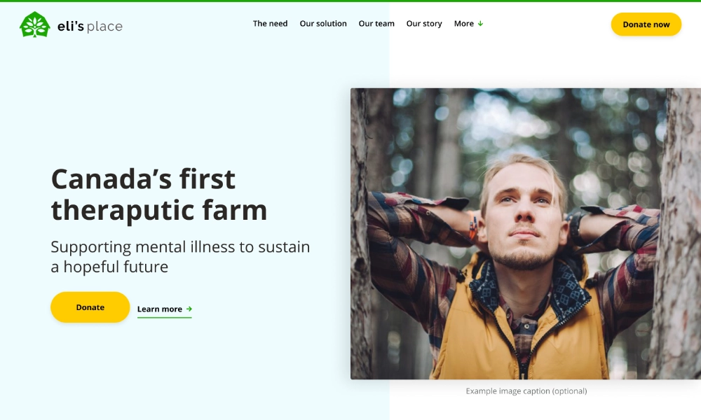 Homepage from the Eli’s place charity website.